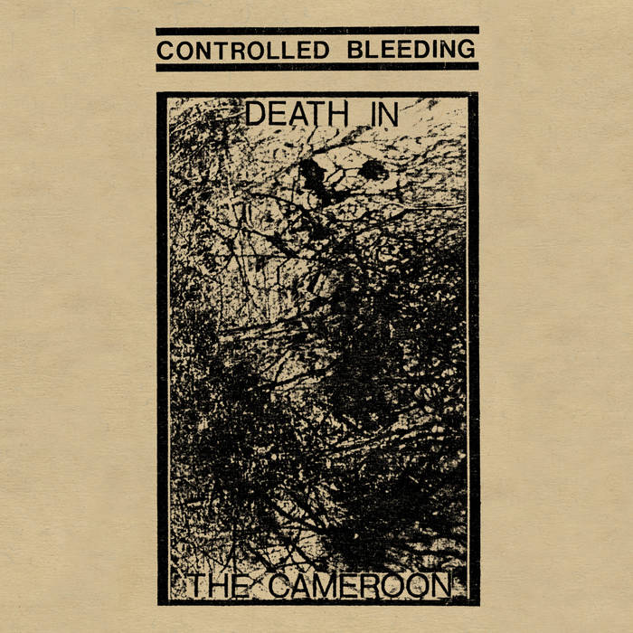 Controlled Bleeding - Cameroon